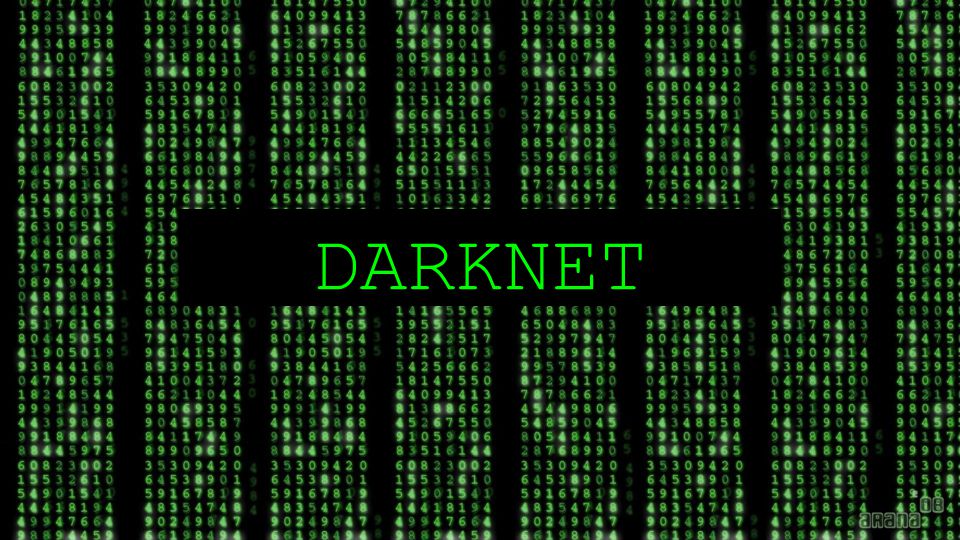 Mega Darknet